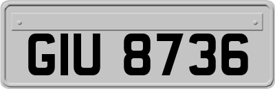 GIU8736
