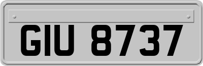 GIU8737