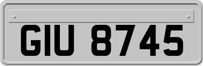 GIU8745