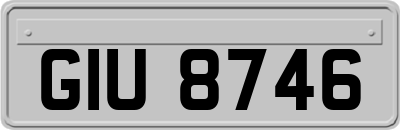 GIU8746