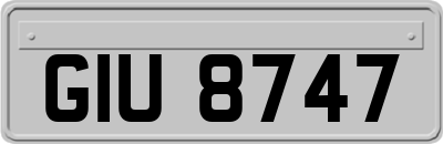 GIU8747