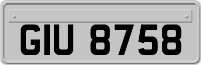 GIU8758