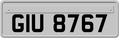 GIU8767