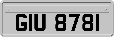 GIU8781