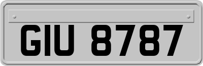GIU8787