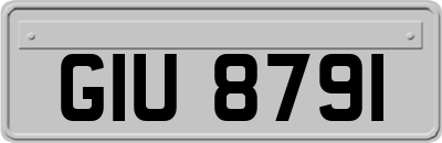 GIU8791