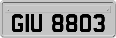 GIU8803