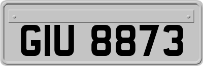 GIU8873