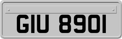 GIU8901