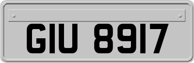 GIU8917
