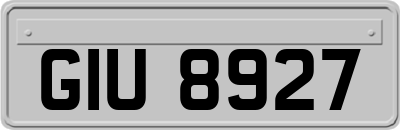 GIU8927