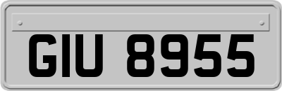 GIU8955