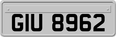GIU8962