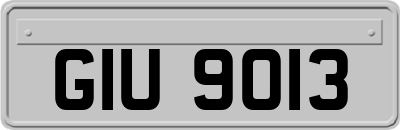 GIU9013