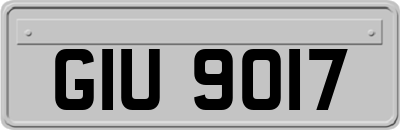 GIU9017