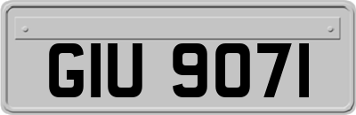 GIU9071