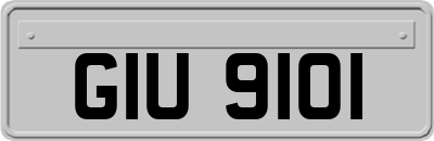 GIU9101
