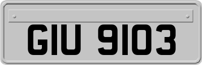 GIU9103