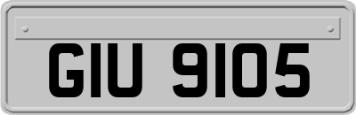 GIU9105