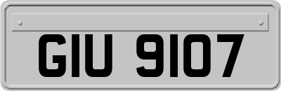 GIU9107