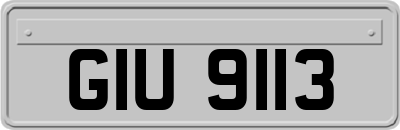 GIU9113