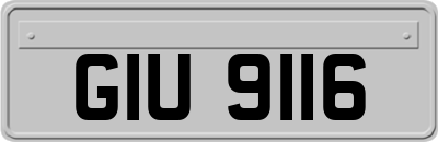 GIU9116