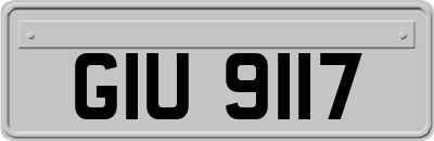 GIU9117