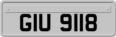 GIU9118