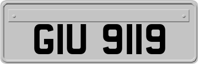 GIU9119