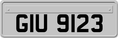 GIU9123