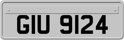 GIU9124