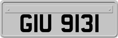 GIU9131