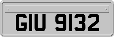 GIU9132