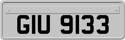 GIU9133