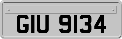 GIU9134