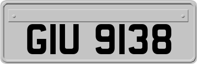 GIU9138
