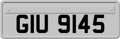 GIU9145