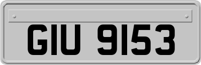 GIU9153