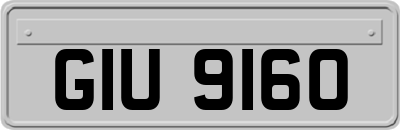 GIU9160