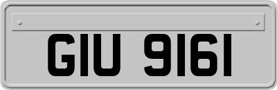 GIU9161