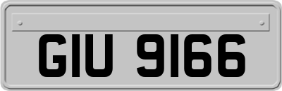 GIU9166
