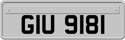 GIU9181