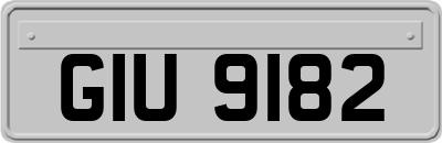 GIU9182
