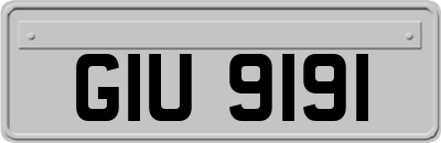 GIU9191