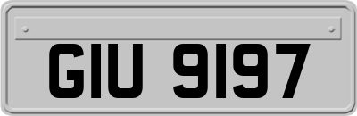 GIU9197