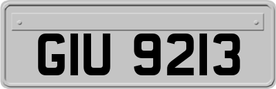 GIU9213