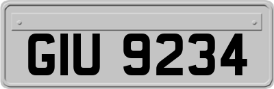 GIU9234
