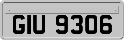 GIU9306