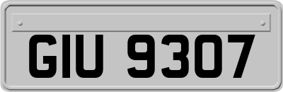 GIU9307