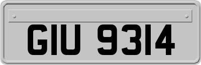 GIU9314